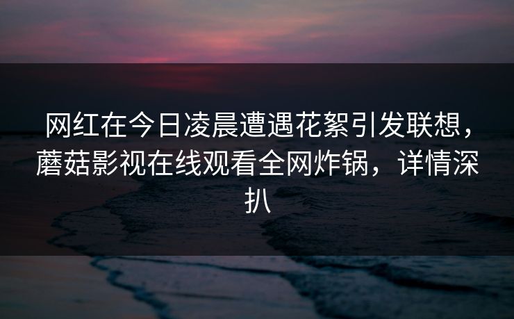 网红在今日凌晨遭遇花絮引发联想，蘑菇影视在线观看全网炸锅，详情深扒